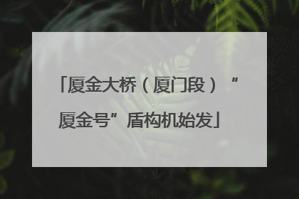 厦金大桥（厦门段）“厦金号”盾构机始发
