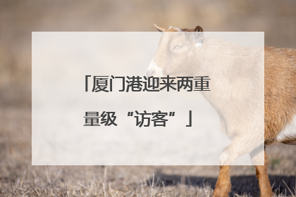 厦门港迎来两重量级“访客”