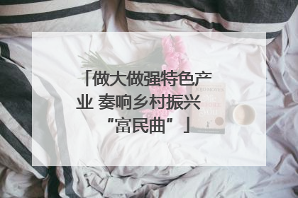 做大做强特色产业 奏响乡村振兴“富民曲”