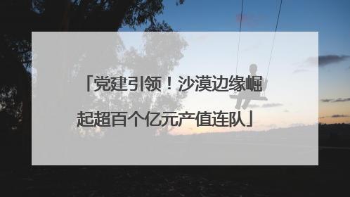 党建引领！沙漠边缘崛起超百个亿元产值连队
