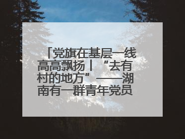 党旗在基层一线高高飘扬丨“去有村的地方”——湖南有一群青年党员这样选择