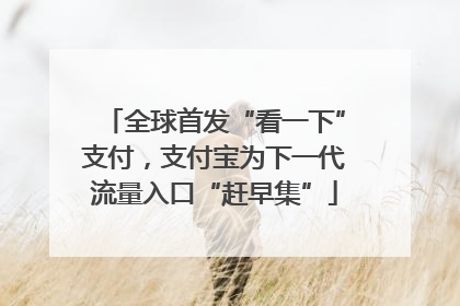 全球首发“看一下”支付，支付宝为下一代流量入口“赶早集”