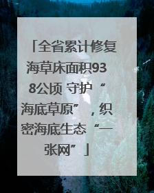 全省累计修复海草床面积938公顷 守护“海底草原”，织密海底生态“一张网”