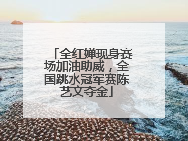 全红婵现身赛场加油助威，全国跳水冠军赛陈艺文夺金