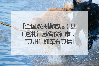 全国双拥模范城（县）巡礼江苏省仪征市：“真州”拥军有真情