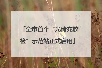 全市首个“光储充放检”示范站正式启用