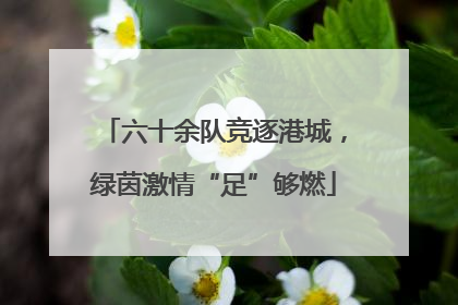 六十余队竞逐港城，绿茵激情“足”够燃
