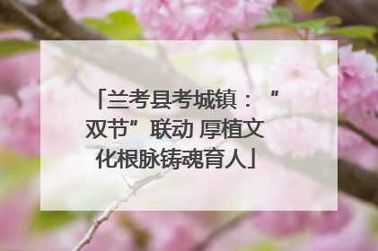 兰考县考城镇：“双节”联动 厚植文化根脉铸魂育人