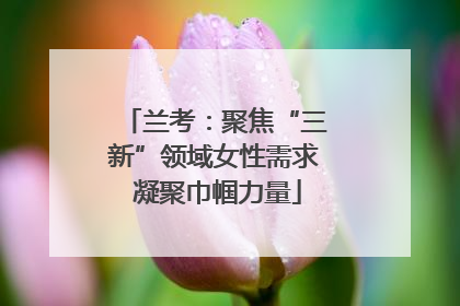 兰考：聚焦“三新”领域女性需求 凝聚巾帼力量