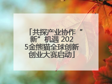 共探产业协作“新”机遇 2025金熊猫全球创新创业大赛启动