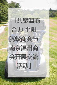 共聚温商合力 平阳腾蛟商会与南京温州商会开展交流活动