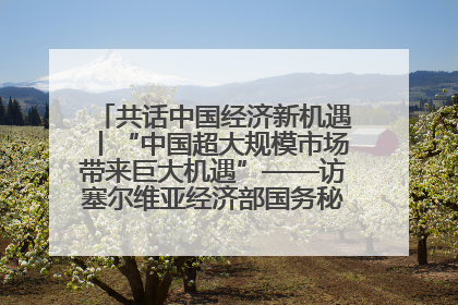 共话中国经济新机遇丨“中国超大规模市场带来巨大机遇”——访塞尔维亚经济部国务秘书尼科利奇