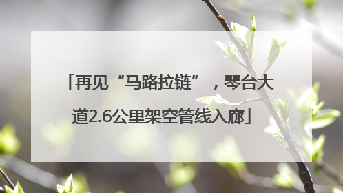 再见“马路拉链”，琴台大道2.6公里架空管线入廊