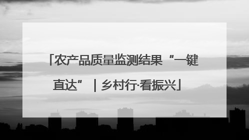 农产品质量监测结果“一键直达”｜乡村行·看振兴