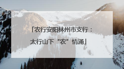 农行安阳林州市支行：太行山下“农”情涌