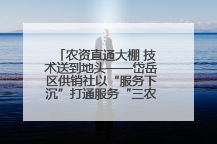 农资直通大棚 技术送到地头——岱岳区供销社以“服务下沉”打通服务“三农”最后一公里