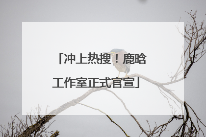 冲上热搜！鹿晗工作室正式官宣