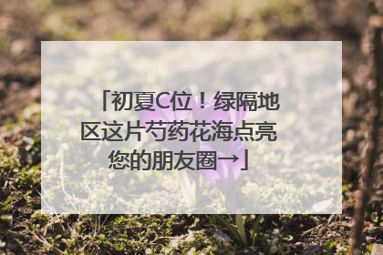 初夏C位！绿隔地区这片芍药花海点亮您的朋友圈→