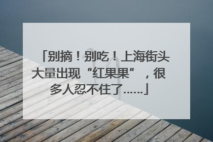 别摘！别吃！上海街头大量出现“红果果”，很多人忍不住了……
