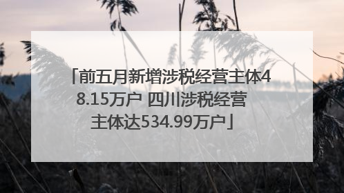前五月新增涉税经营主体48.15万户 四川涉税经营主体达534.99万户