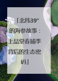 北纬39°的海参故事：上品堂春捕季背后的生态密码