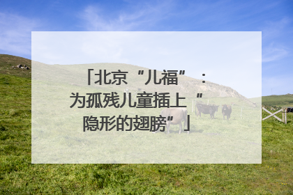 北京“儿福”：为孤残儿童插上“隐形的翅膀”