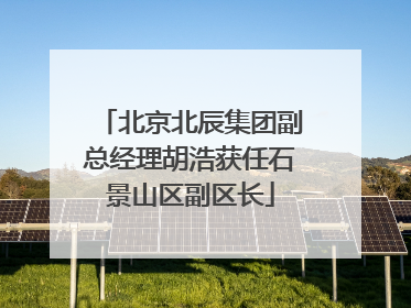 北京北辰集团副总经理胡浩获任石景山区副区长