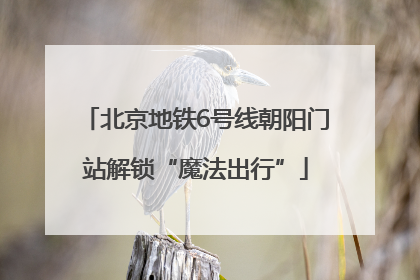 北京地铁6号线朝阳门站解锁“魔法出行”