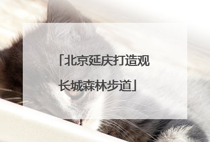 北京延庆打造观长城森林步道