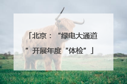 北京：“绿电大通道”开展年度“体检”