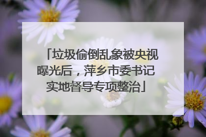 垃圾偷倒乱象被央视曝光后，萍乡市委书记实地督导专项整治