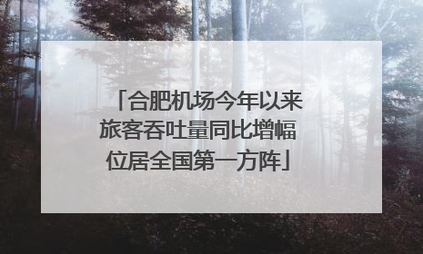 合肥机场今年以来旅客吞吐量同比增幅位居全国第一方阵