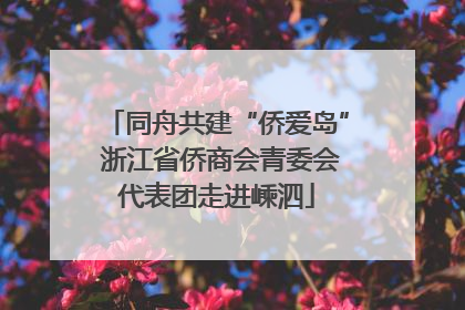 同舟共建“侨爱岛” 浙江省侨商会青委会代表团走进嵊泗