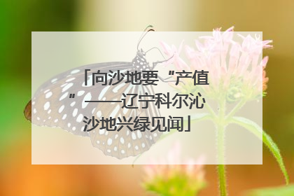 向沙地要“产值”——辽宁科尔沁沙地兴绿见闻