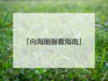 向海图强看海南