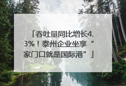 吞吐量同比增长4.3%！泰州企业坐享“家门口就是国际港”