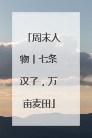周末人物丨七条汉子，万亩麦田