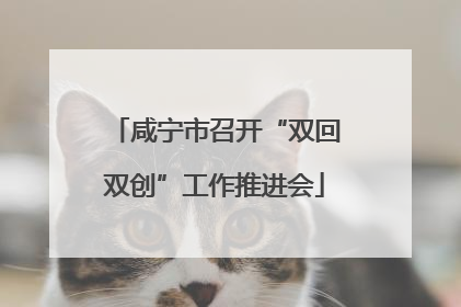 咸宁市召开“双回双创”工作推进会