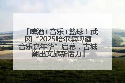 啤酒+音乐+篮球！武冈“2025哈尔滨啤酒音乐嘉年华”启幕，古城潮出文旅新活力