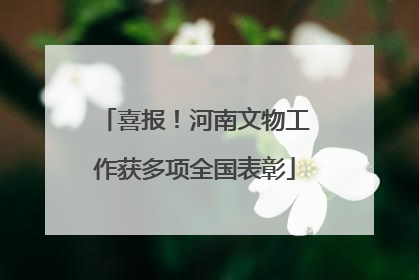 喜报！河南文物工作获多项全国表彰