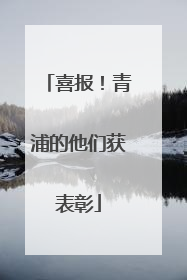 喜报！青浦的他们获表彰