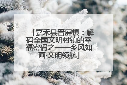嘉禾县晋屏镇：解码全国文明村镇的幸福密码之——乡风如画·文明领航