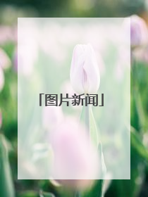 图片新闻