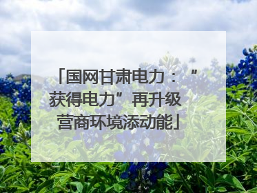 国网甘肃电力：“获得电力”再升级 营商环境添动能
