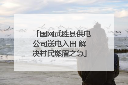国网武胜县供电公司送电入田 解决村民燃眉之急