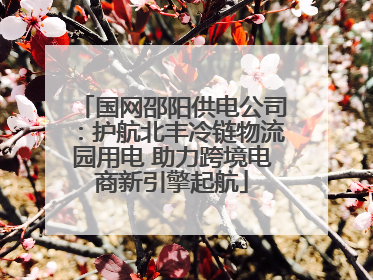 国网邵阳供电公司：护航北丰冷链物流园用电 助力跨境电商新引擎起航