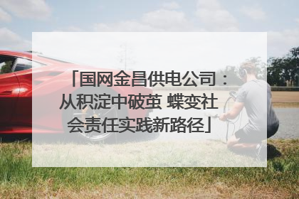 国网金昌供电公司：从积淀中破茧 蝶变社会责任实践新路径