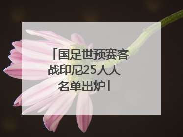 国足世预赛客战印尼25人大名单出炉