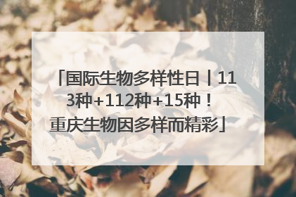 国际生物多样性日丨113种+112种+15种！重庆生物因多样而精彩