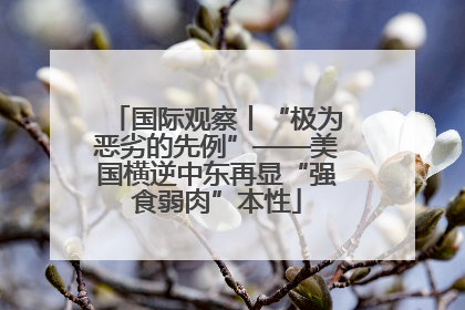 国际观察丨“极为恶劣的先例”——美国横逆中东再显“强食弱肉”本性